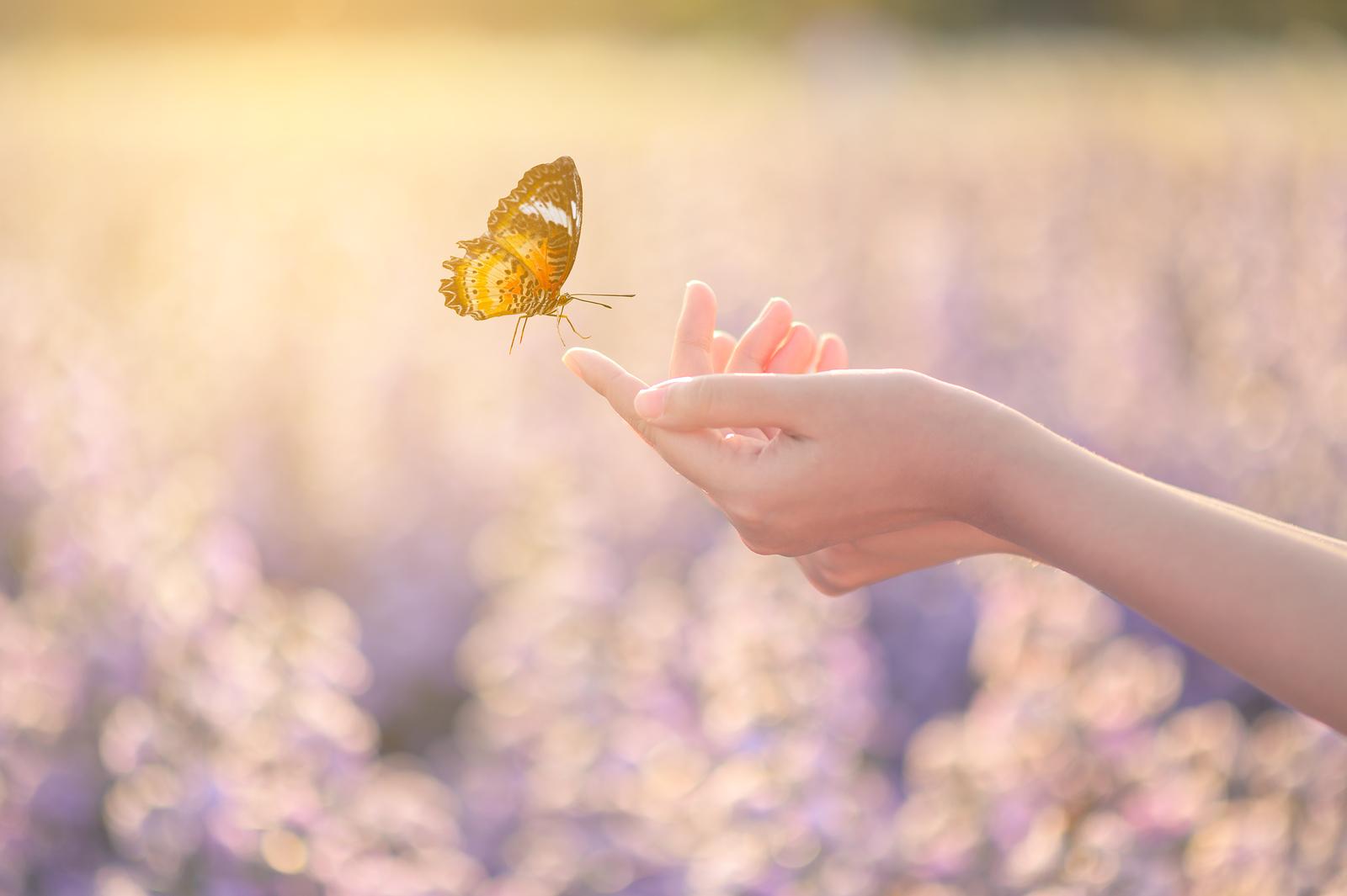 How Cancer Saved My Life & How I’m Paying It Forward