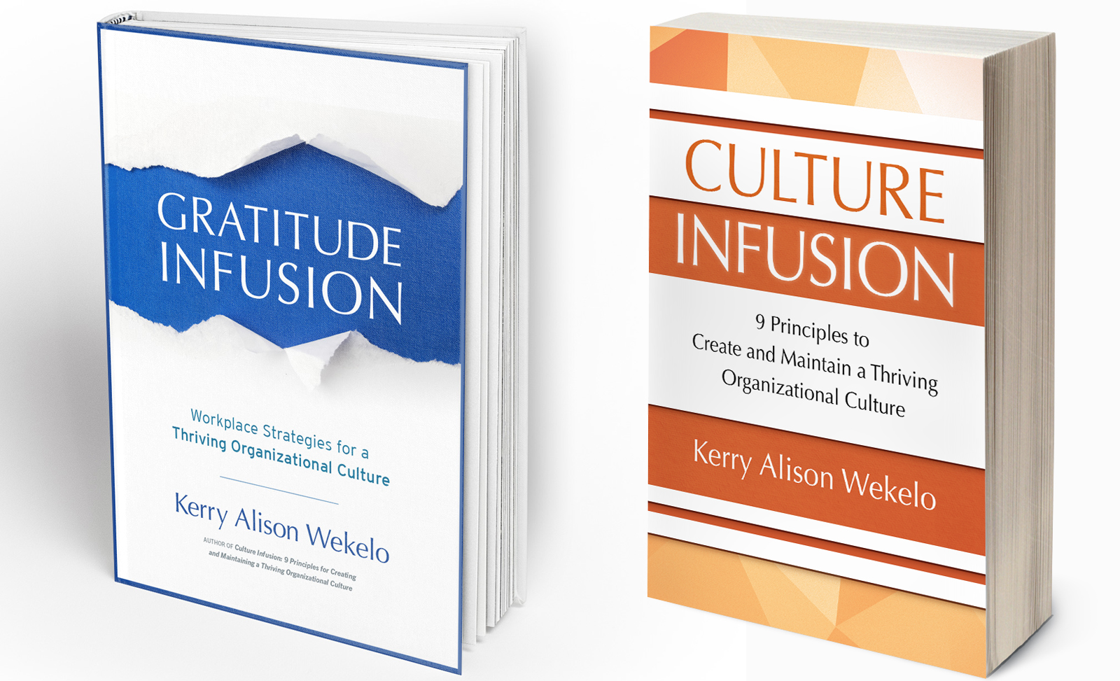 Creating and Maintaining a Thriving Organizational Culture