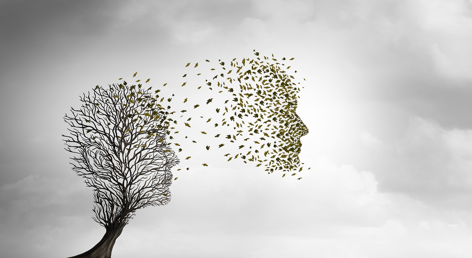 Recreating Life After Loss